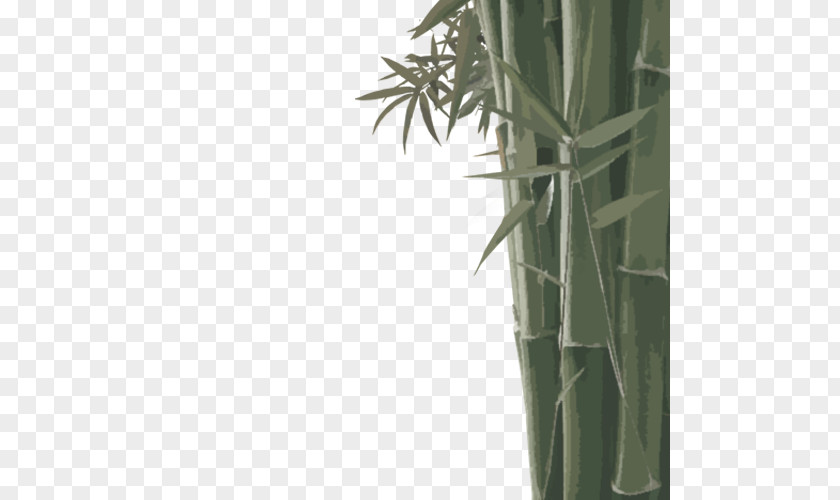 Green Bamboo Bamboe Leaf Euclidean Vector PNG