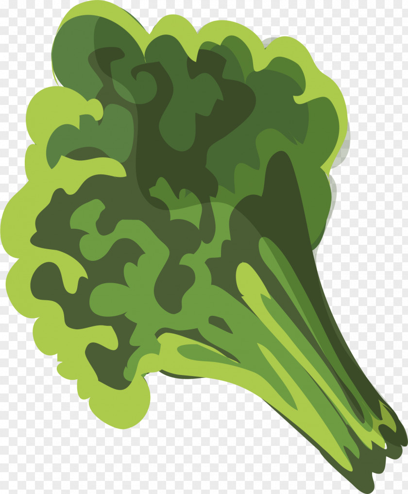 Hand Painted Green Broccoli Milk Chinese Cuisine Food PNG