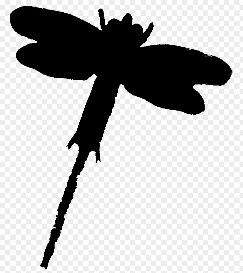 Insect Butterfly Clip Art Line Silhouette PNG