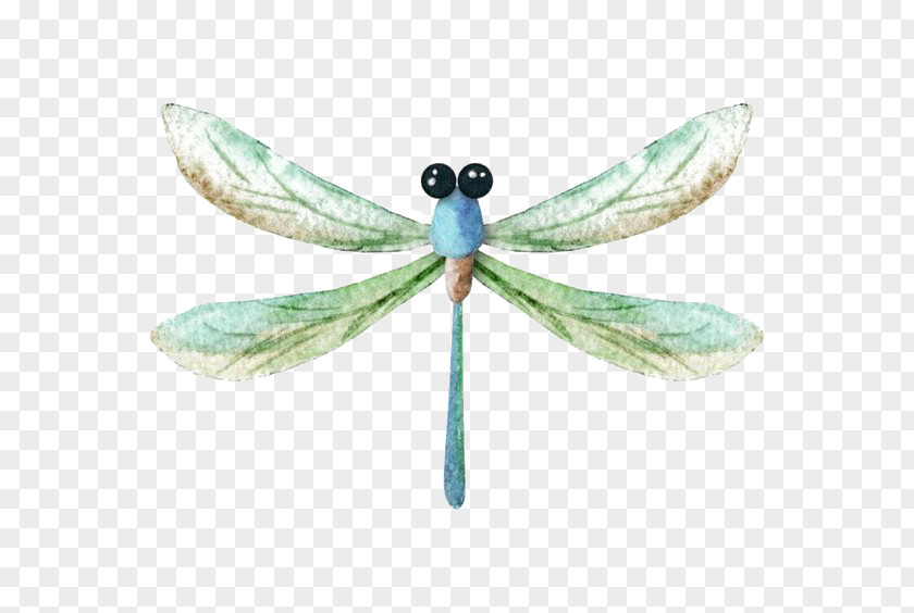 Watercolor Dragonfly Painting Icon PNG