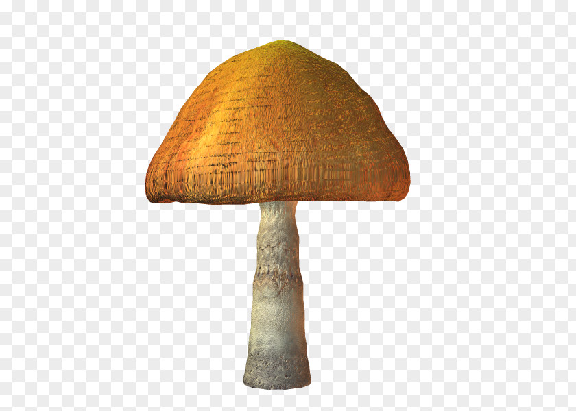 Zq Mushroom TinyPic Image Video PhotoScape PNG