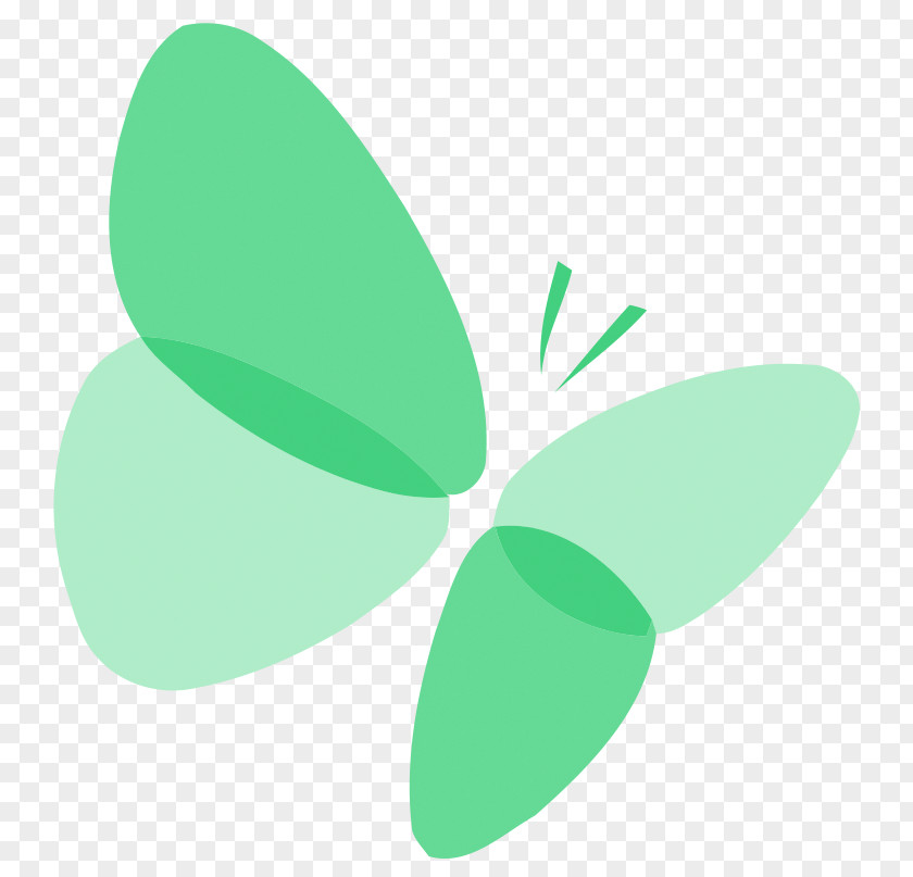 Butterfly PNG