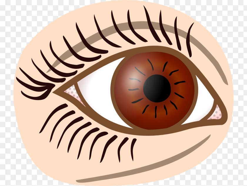 Eye Drawing Clip Art PNG