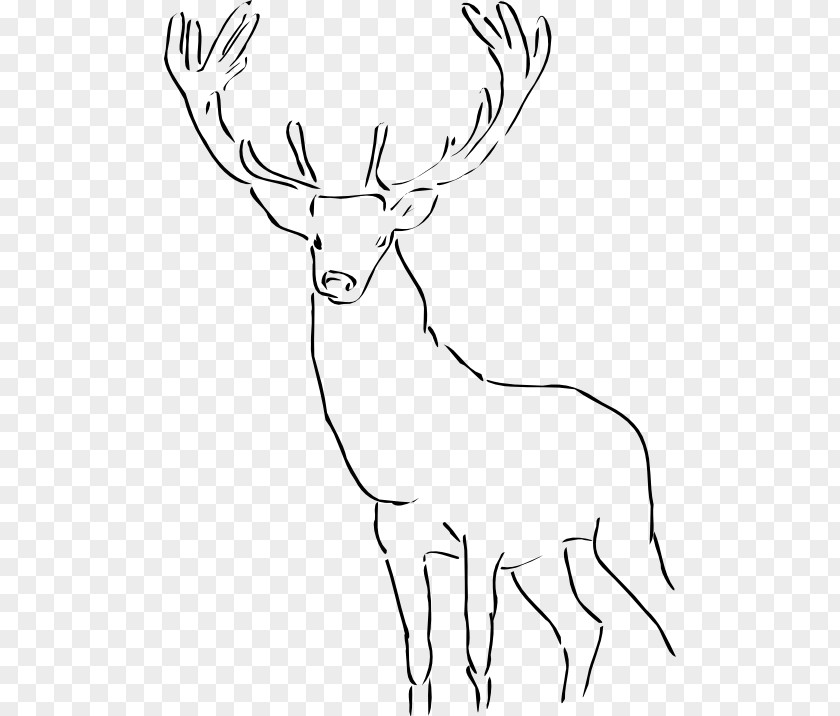 Stag Drawing Art Clip PNG