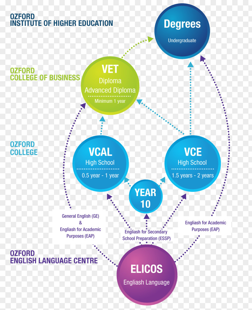 Student Bachelor Of Business Education Management Academic Degree Diploma PNG