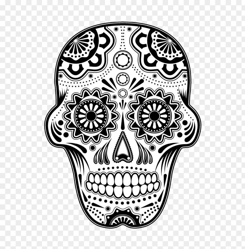 Visual Arts Drawing Line Art Head Bone Skull Coloring Book PNG