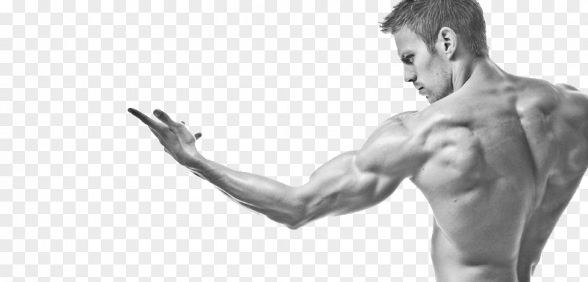 Bodybuilding Men's Fitness Physical Muscle & Desktop Wallpaper PNG