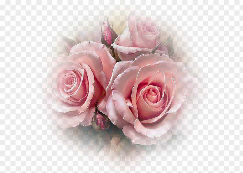 Flower Rose Pink Floral Design Diamond Mosaic PNG
