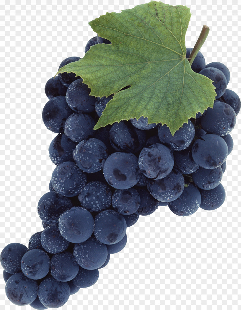 Grape Image Common Vine PNG