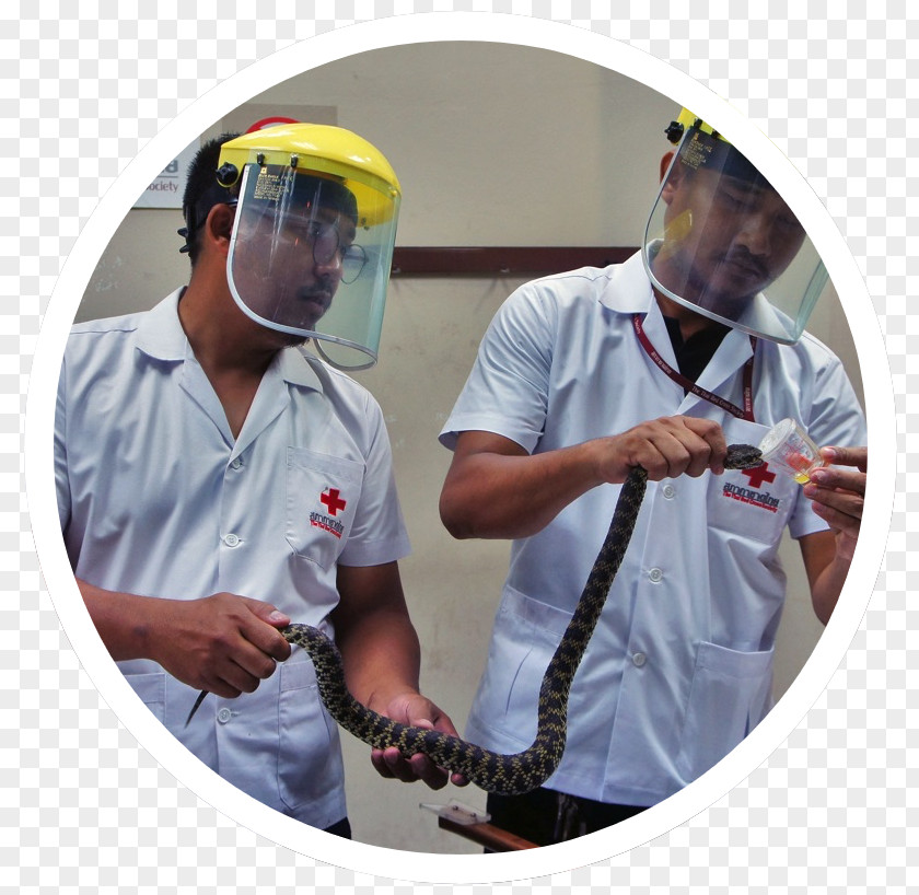 International Red Cross Volunteer Headgear Service Personal Protective Equipment Product PNG