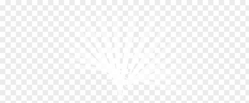 Light White Pattern PNG