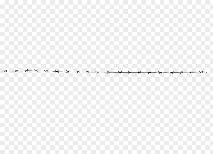 Rectangle White Line PNG