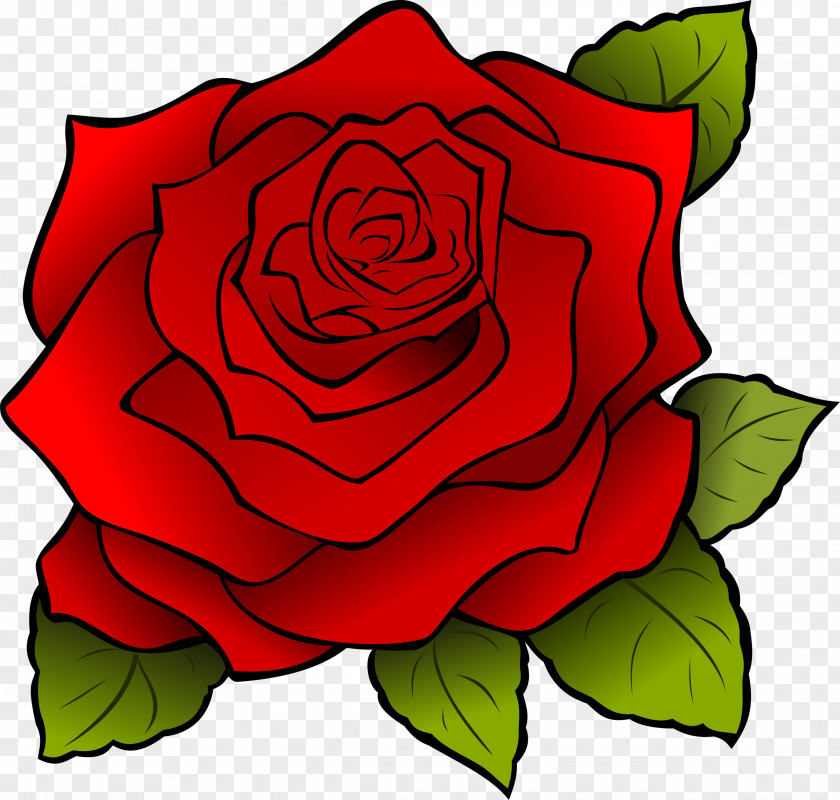 Rosa Cartoon Rose Drawing Clip Art PNG