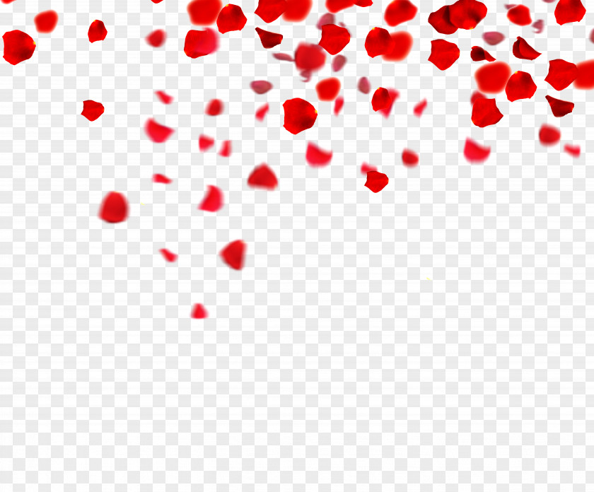 Rose Petals Floating Material Petal If(we) Download PNG