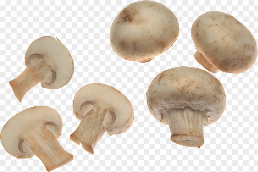 White Mushrooms Image Common Mushroom PNG