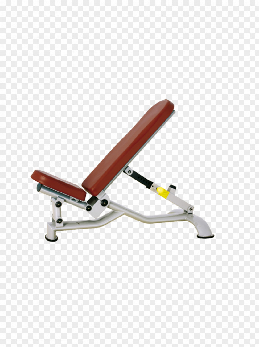 Bench Press Fitness Centre Exercise Equipment Physical PNG