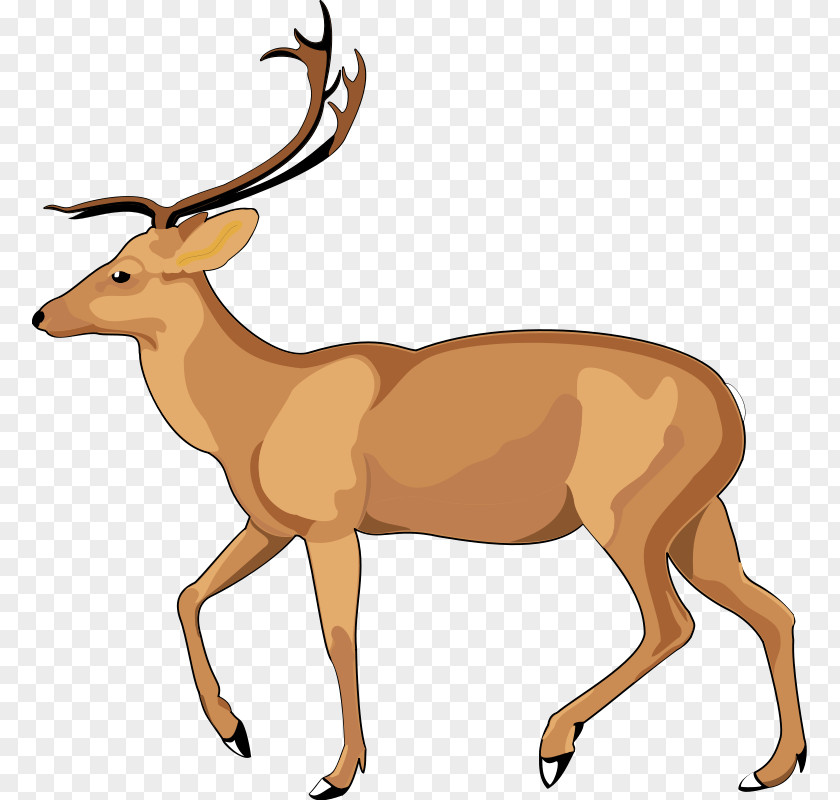 Deer Antelope Gazelle Clip Art PNG