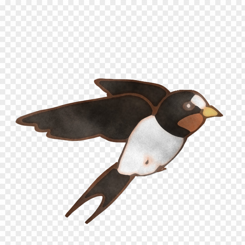 Duck Birds Penguins Beak Goose PNG