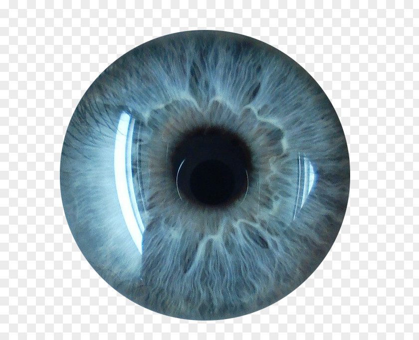 Eyes Collection Eye Blue PNG