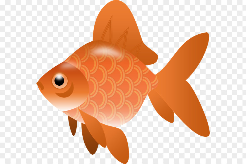 Free Fish Cliparts Clip Art PNG