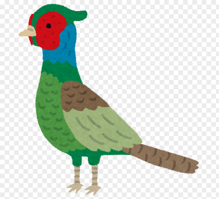 Green Pheasant Sanda Momotarō Okayama Prefecture Phasianidae PNG