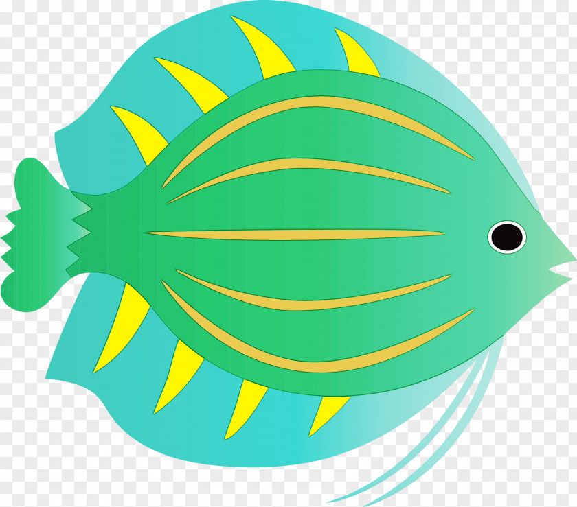 Leaf Fish Line Biology Geometry PNG