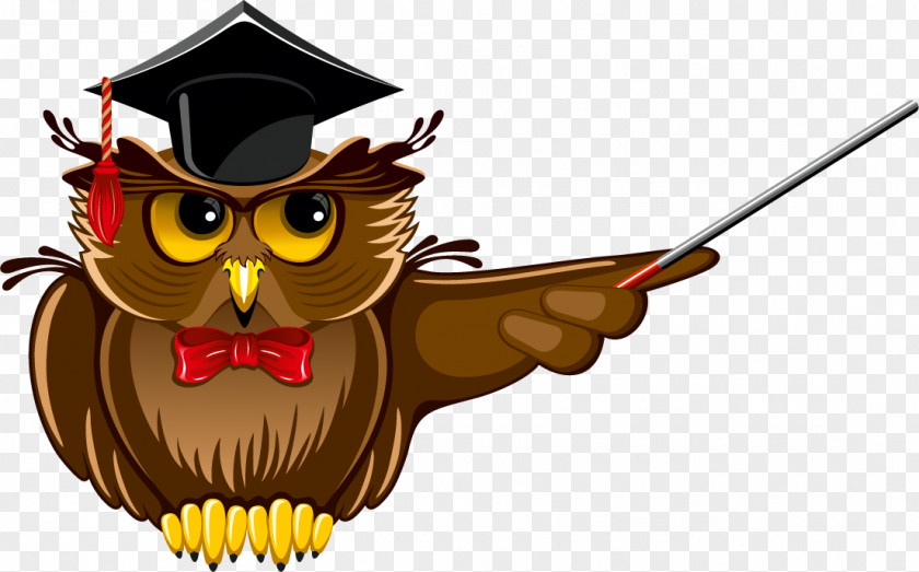 Owl Teacher School Clip Art PNG