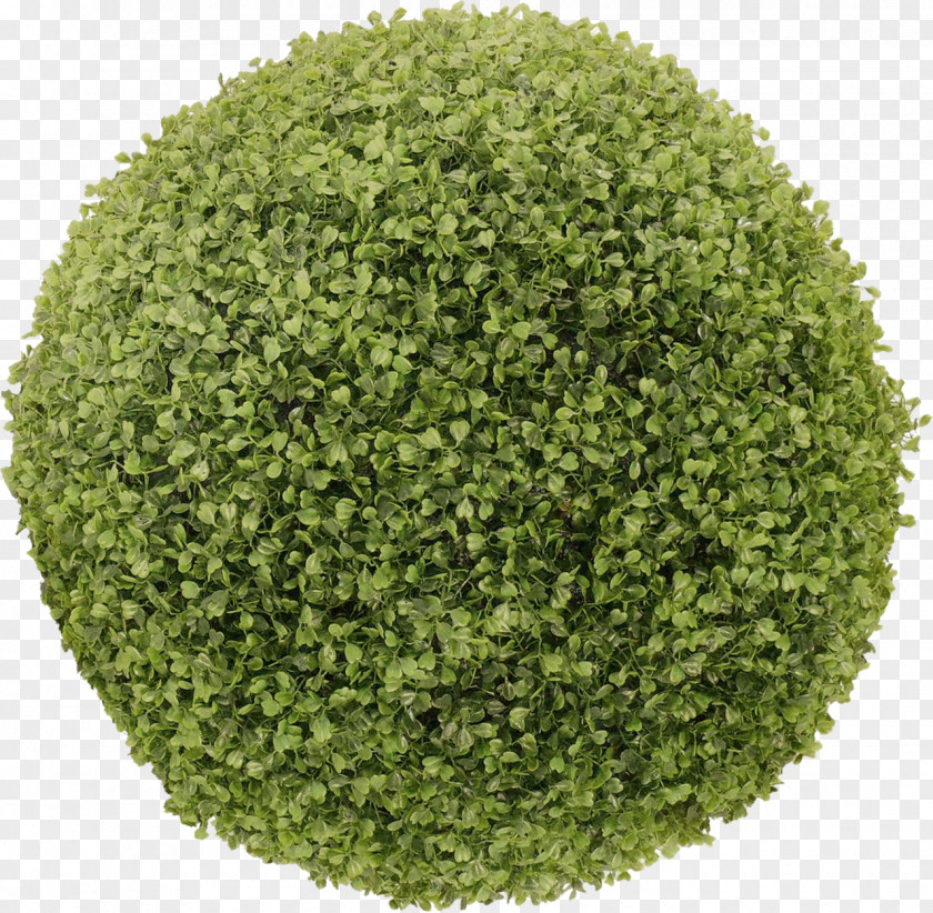Round Grass Material Clip Art PNG