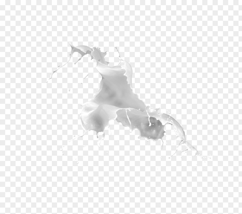 Splash Of Milk Cows Drink PNG