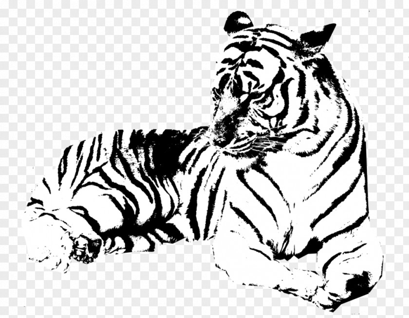 Tiger Vector Stencil Drawing Tigger Art PNG