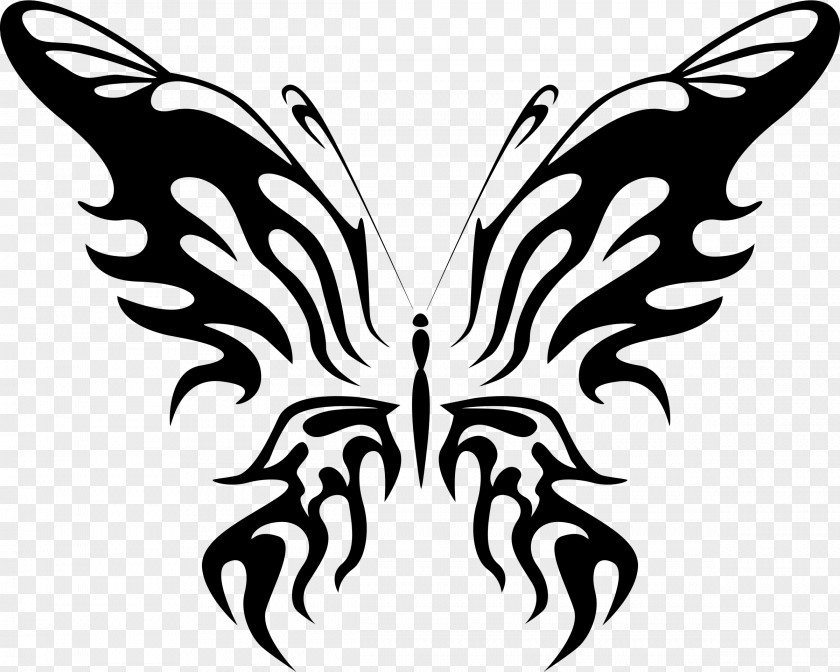 Ink Butterfly Insect Line Art Clip PNG