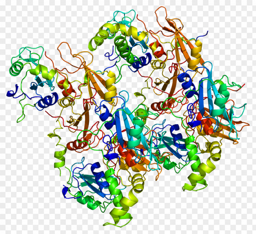 Syk Tyrosine Kinase Protein PNG