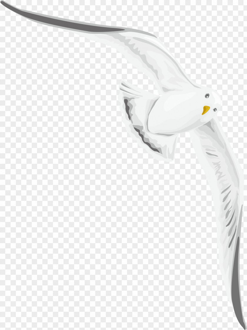 Wild Goose Decoration Design Vector Swan PNG
