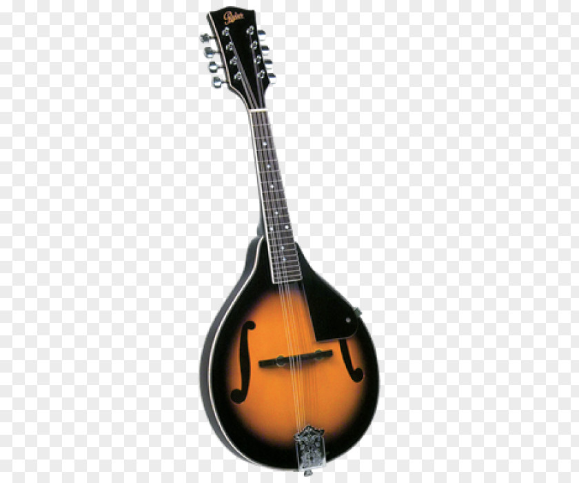 Acoustic Guitar Mandolin Acoustic-electric Tiple Musical Instruments PNG