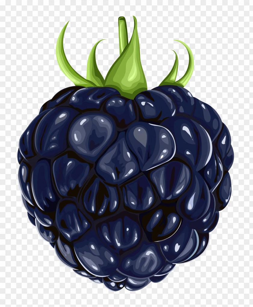 Blackberry Fruit Clipart Clip Art PNG