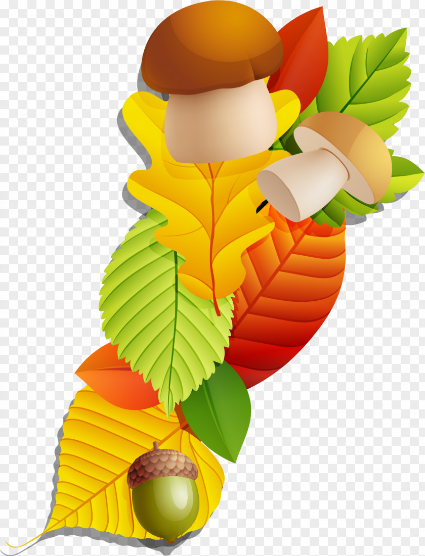 Colorful Plant Symbol Maple Leaf Clip Art PNG