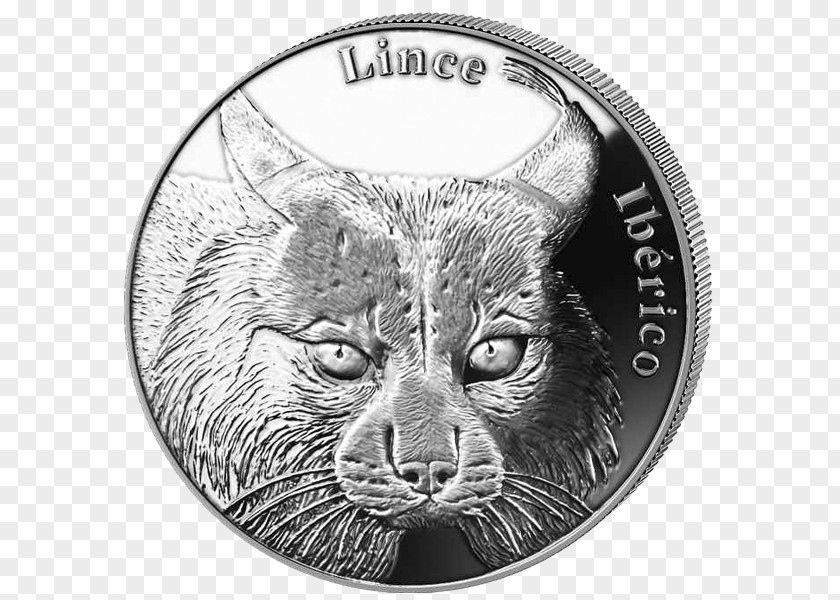 Iberian Lynx Euro Coins Peninsula Whiskers PNG