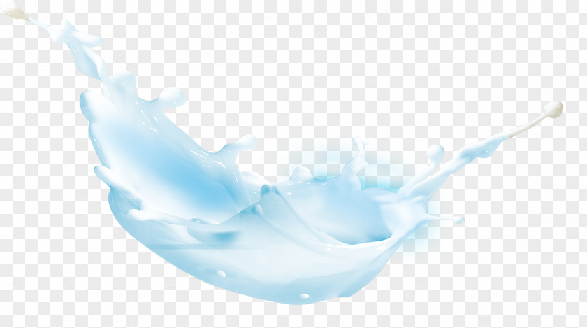 Milk Drops Tableware Petal Wallpaper PNG