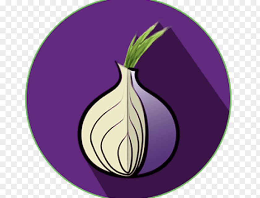 Onion Tor Browser Computer Security .onion Software PNG