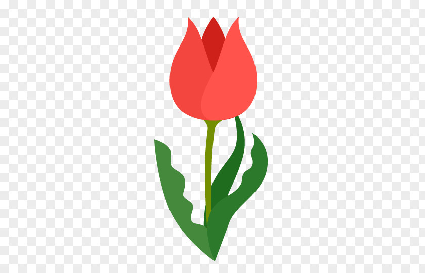 Tulip Material Drawing Clip Art PNG