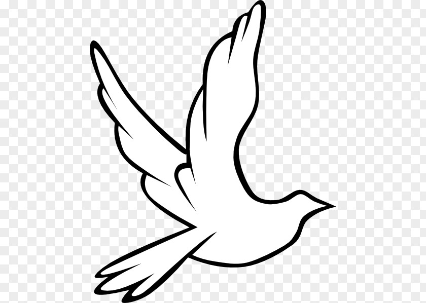 Wedding Dove Clipart Columbidae Holy Spirit Doves As Symbols Clip Art PNG
