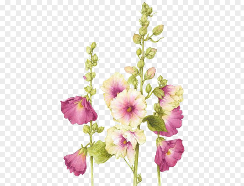 Painting Watercolor: Flowers Flower Watercolor Botanical Illustration PNG