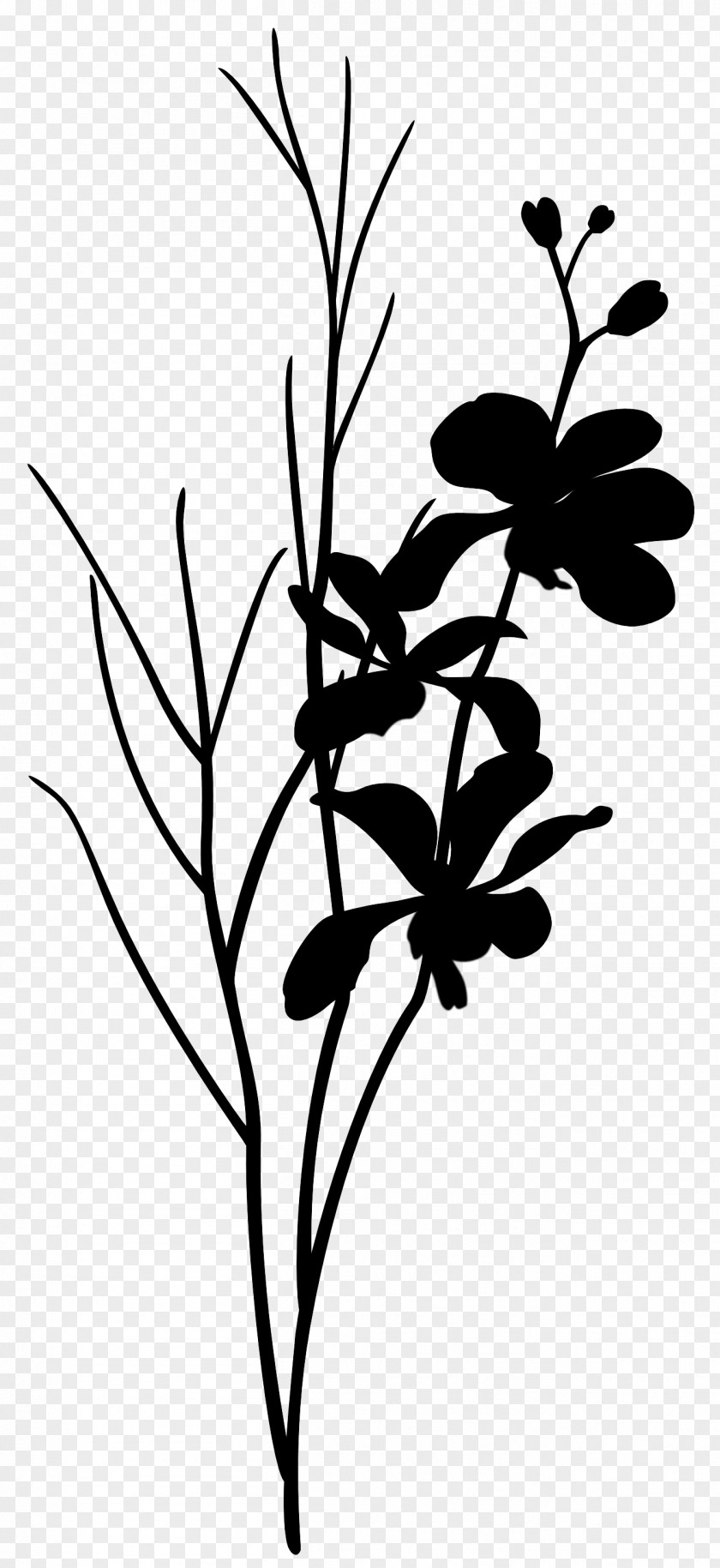 Twig Plant Stem Leaf Clip Art Silhouette PNG