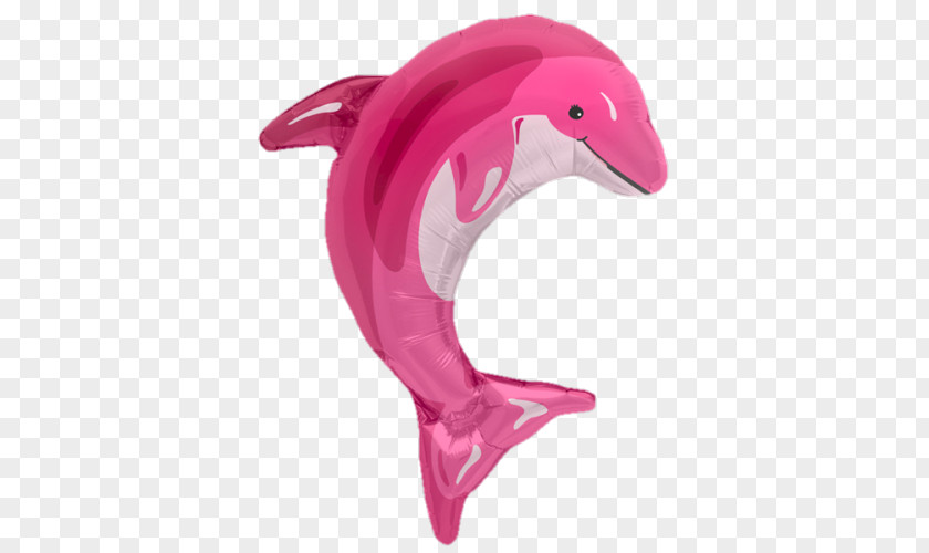 Balloon Toy Party Birthday Amazon River Dolphin PNG