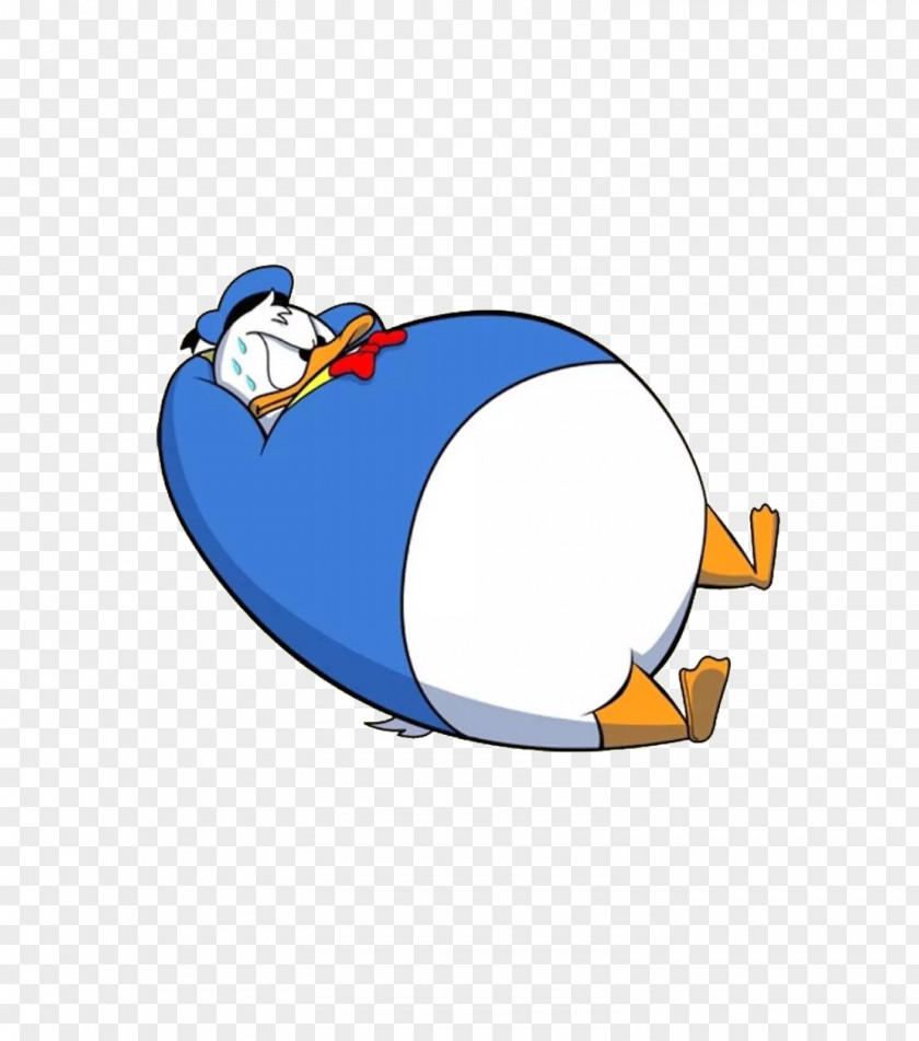 Donald Duck Cartoon Abdominal Pain Obesity Menstruation PNG