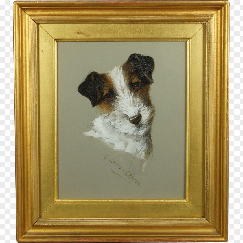 Painting Wire Hair Fox Terrier Jack Russell Norwich PNG
