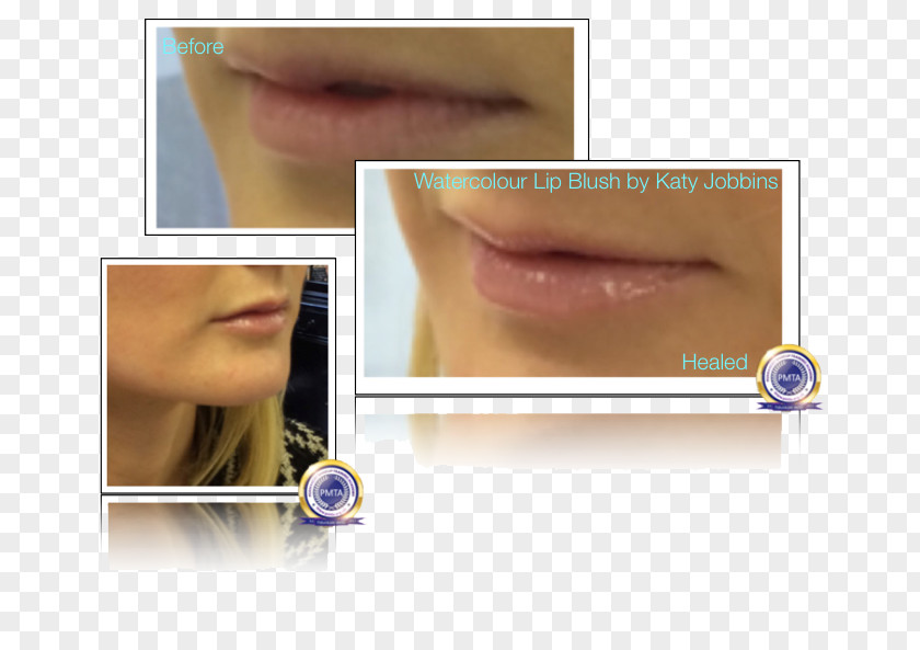 Permanent Makeup Eyelash Extensions Cheek Lip Gloss Chin PNG
