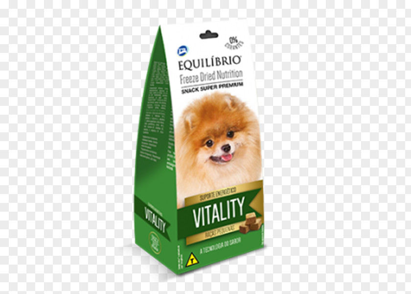 Puppy Pomeranian Entrée Freeze-drying Dog Breed PNG