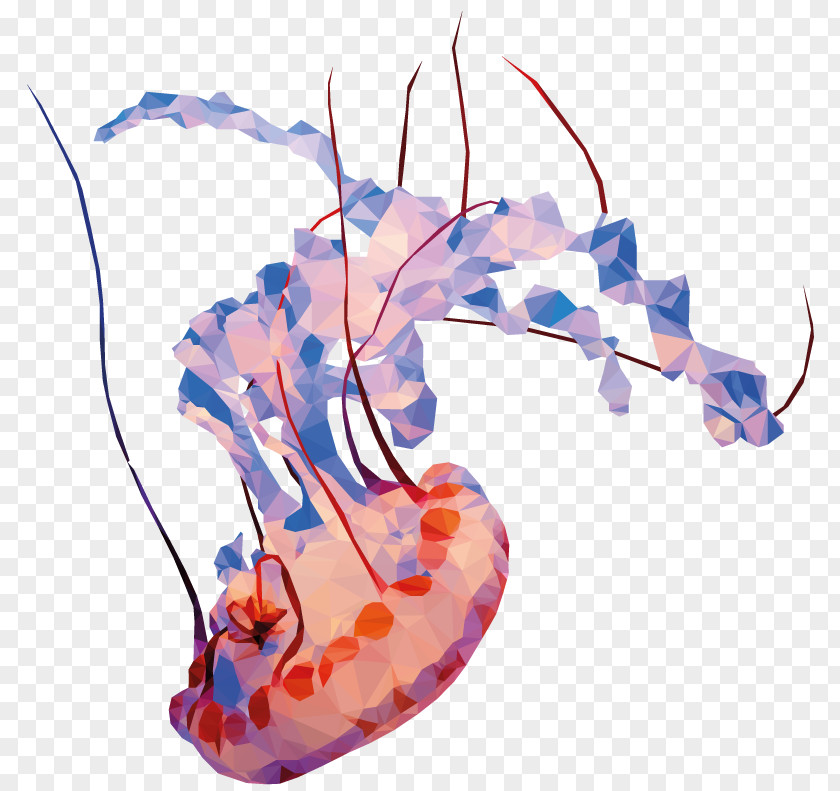 Underwater Illustration Organism Font PNG