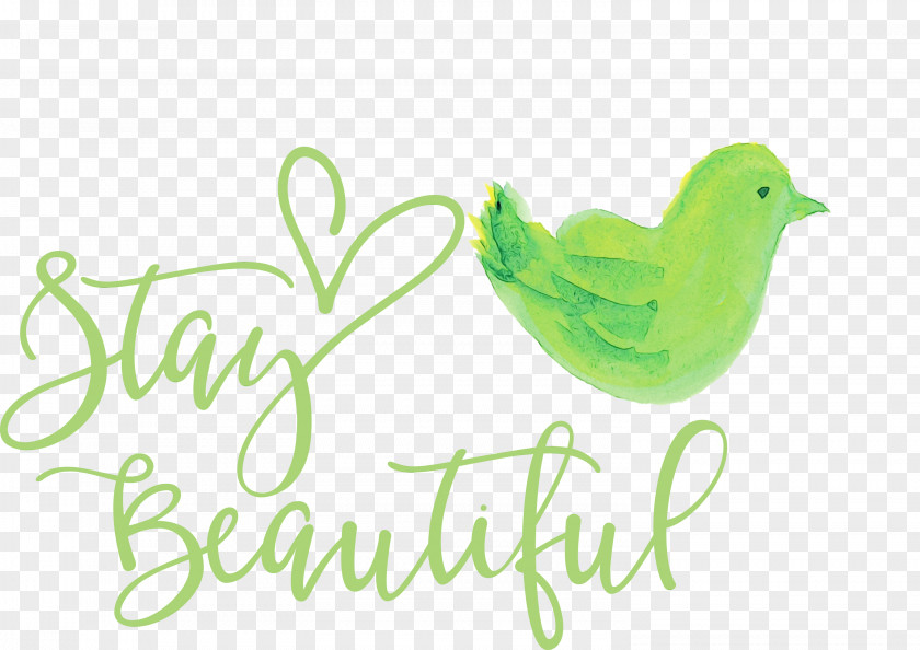 Birds Logo Beak Font Green PNG